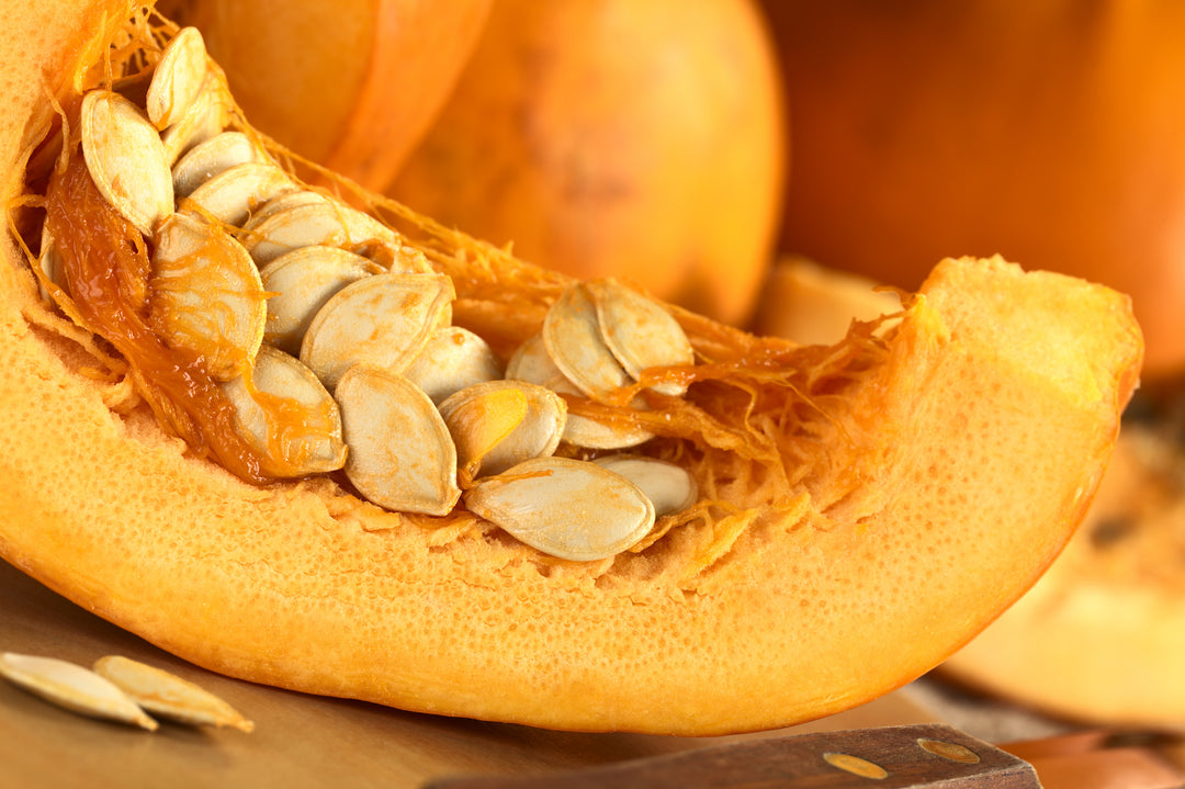 Pumpkin Spice, Mycotoxins, and Everything Nice