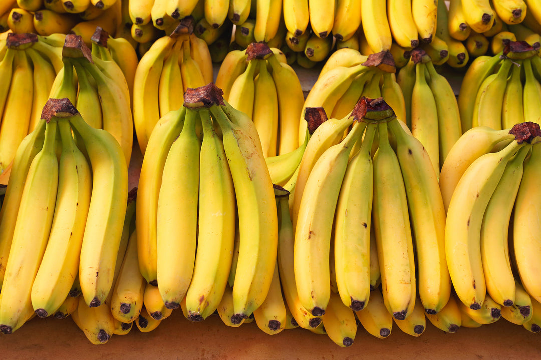 Are We Losing the Banana to Fusarium?