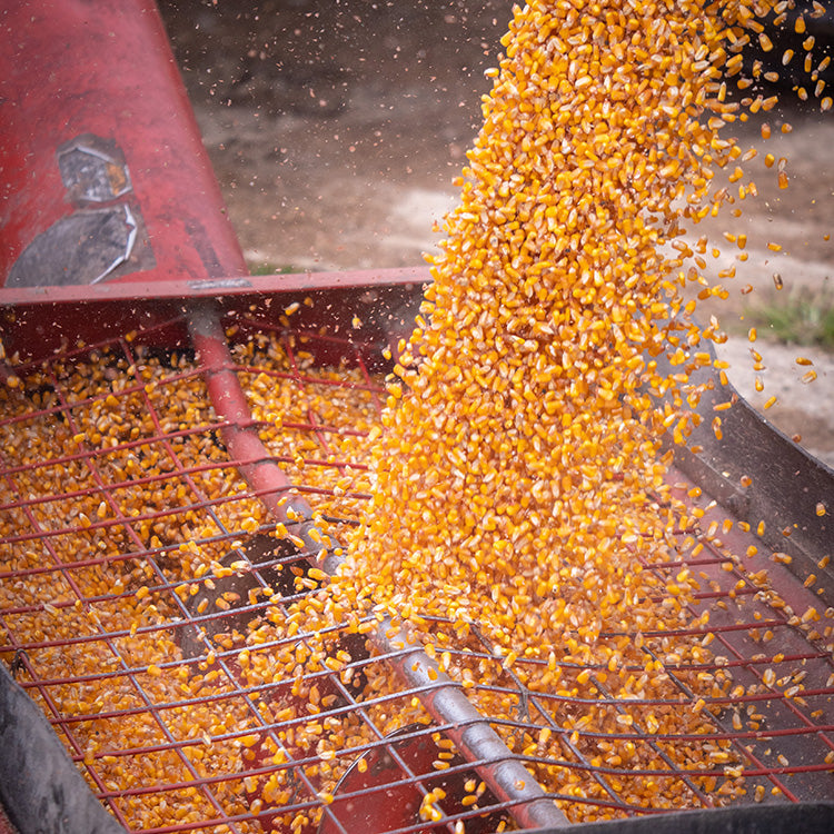 Harvester's Digest: Maximizing Your Options as the 2012 Harvest Approaches