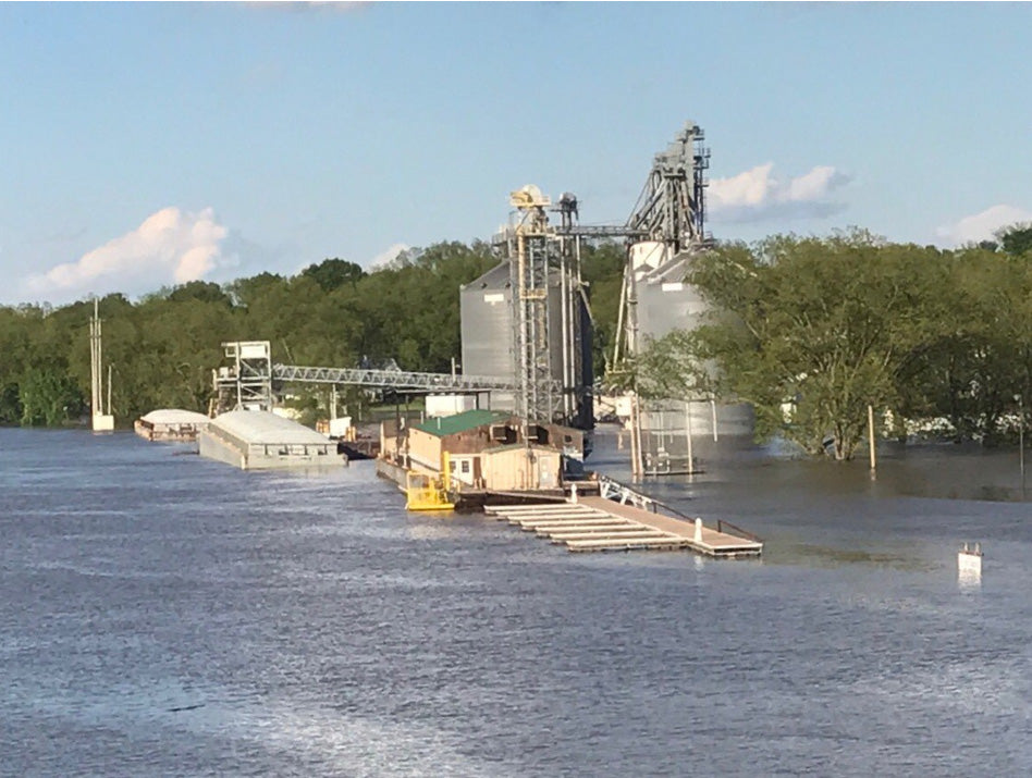 Mycotoxin Pre-Harvest Outlook for 2017