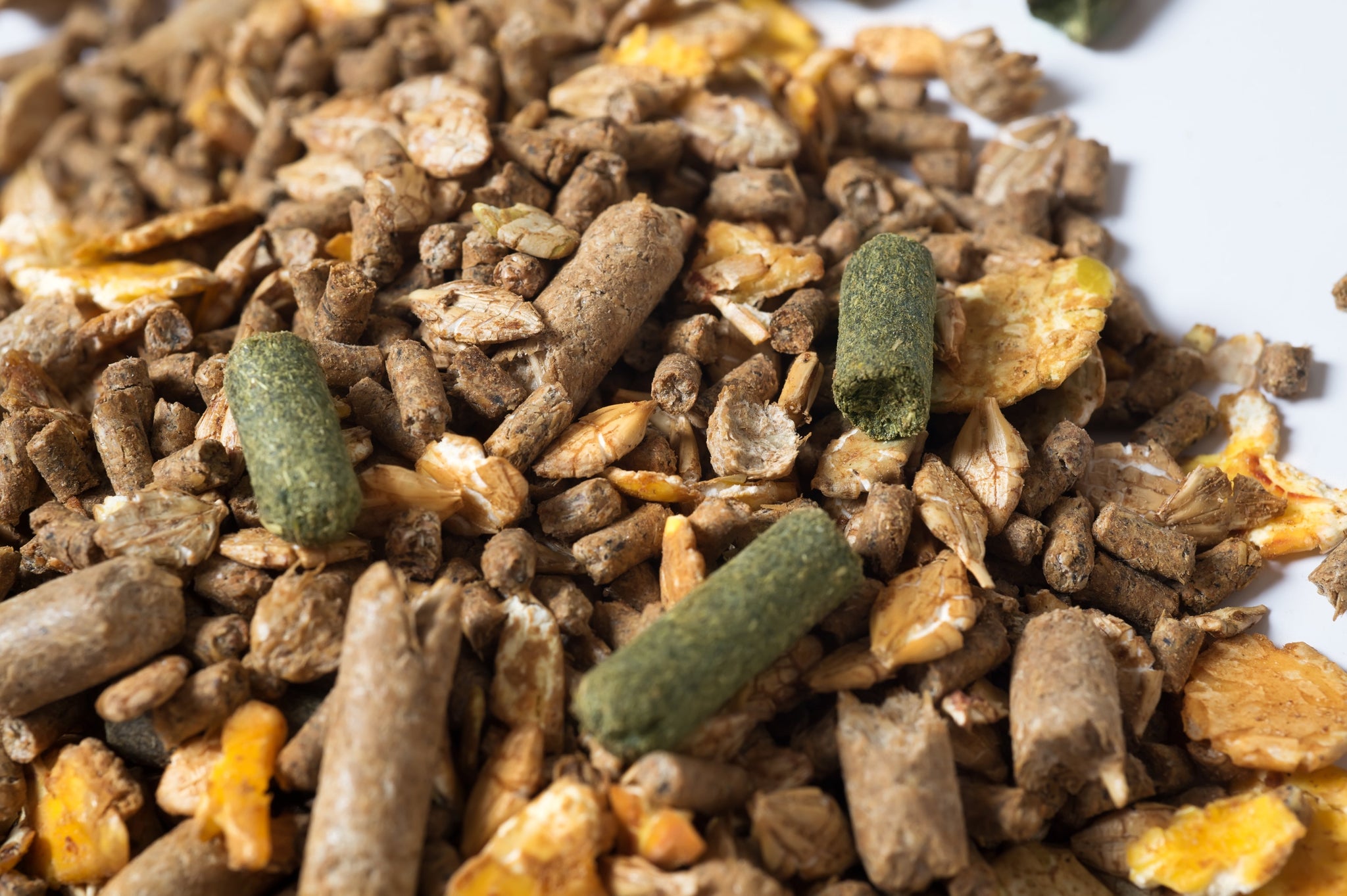 Fumonisins in Horse Feed