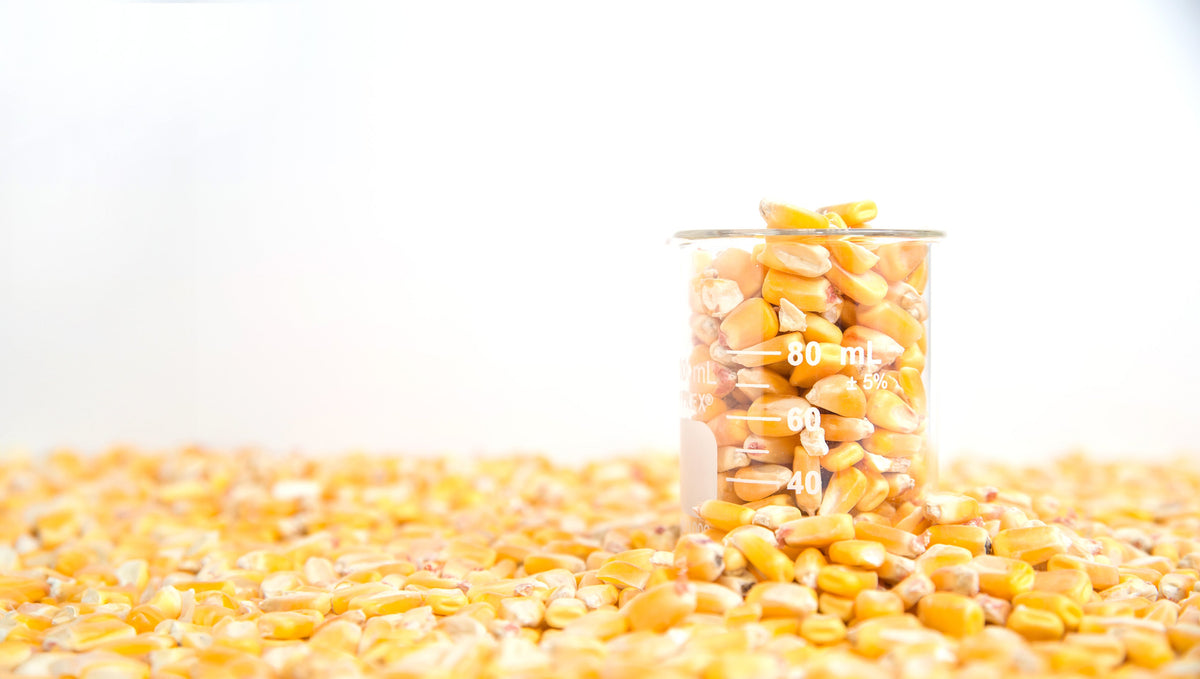 What Happens When a Mycotoxin Screening Result Raises a Question?