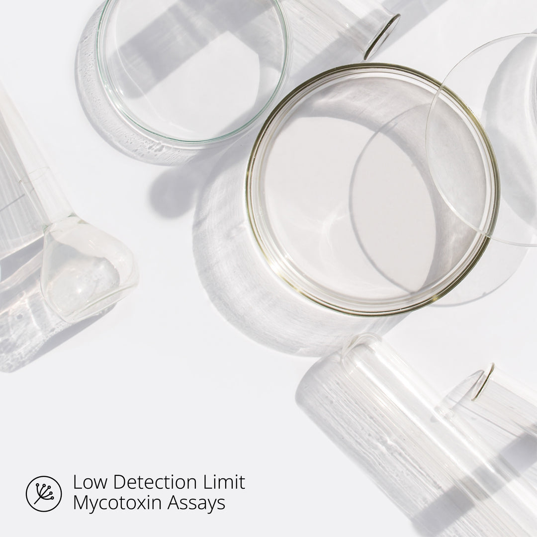 Ochratoxin A Low Detection Limit Analysis
