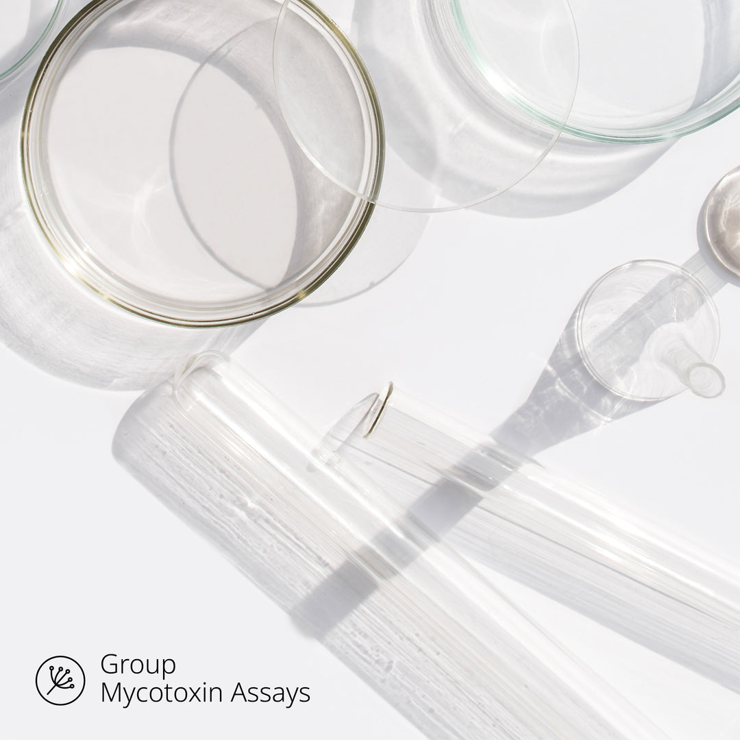 Feed Panel 7 Mycotoxin Analysis by LC-MS/MS