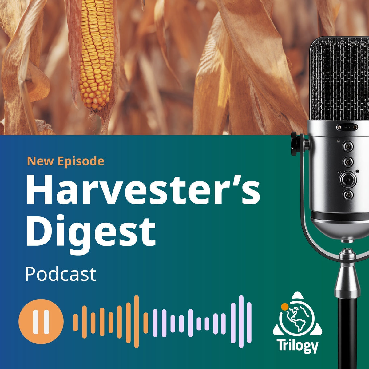 Trilogy Podcast #4 - 2026 Corn Harvest at the Halfway Point