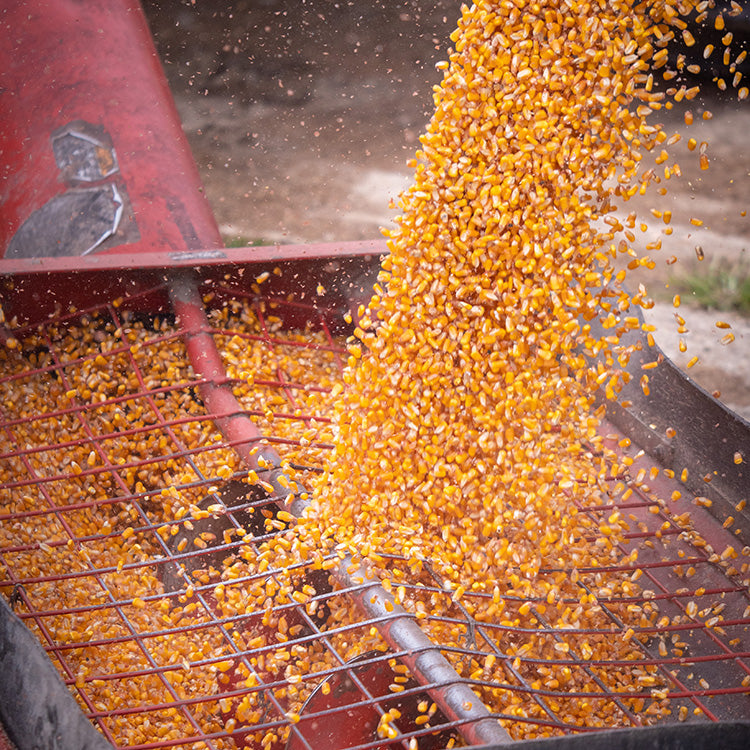 Harvester's Digest: Maximizing Your Options as the 2012 Harvest Approaches  