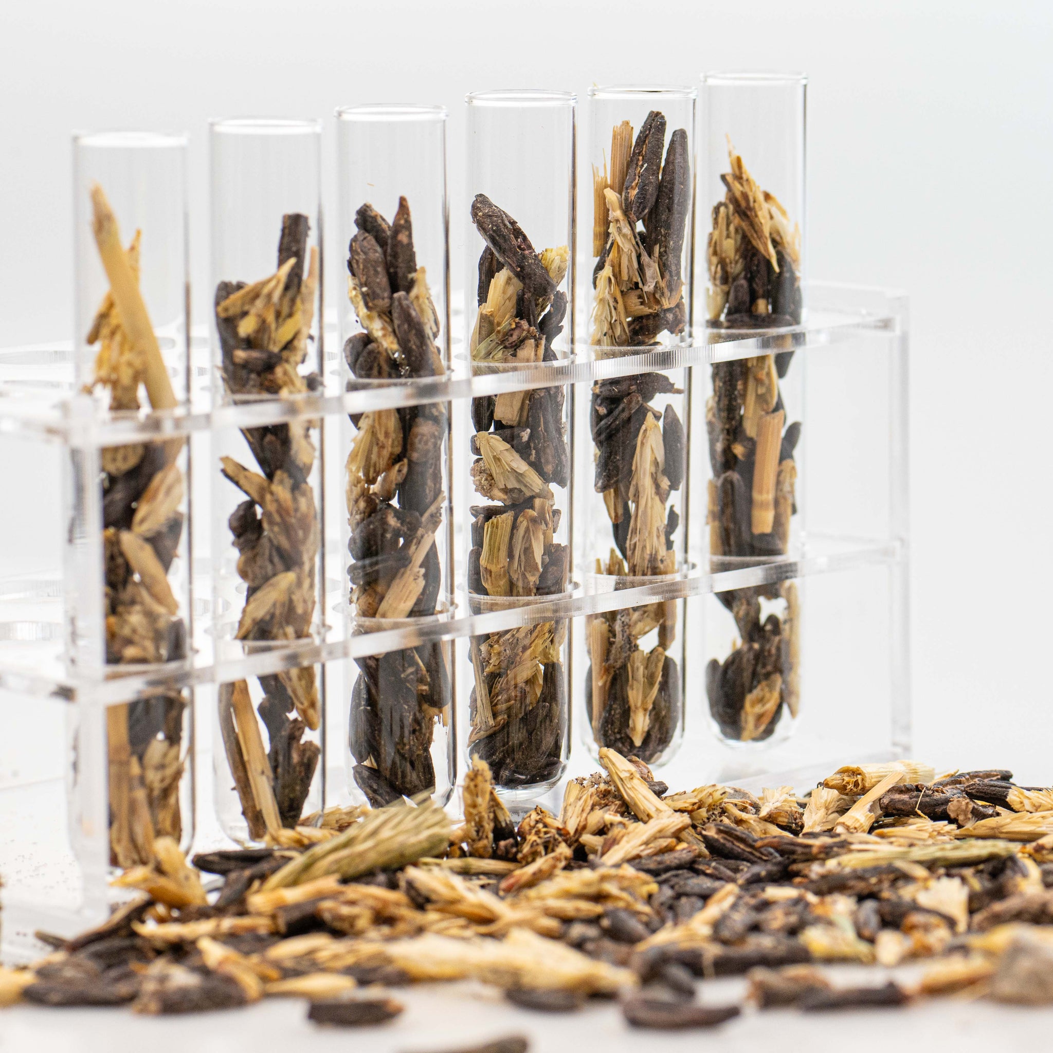 Trilogy Adds Ergot Alkaloid Analysis to Testing Portfolio