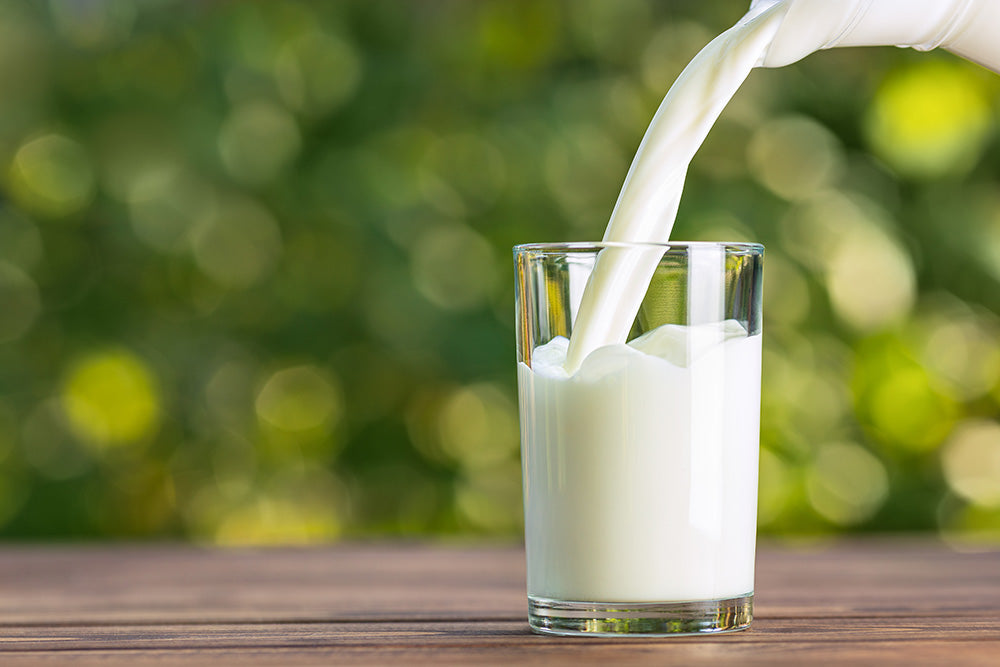 Milk being poured into drinking glass on an outside picnic table