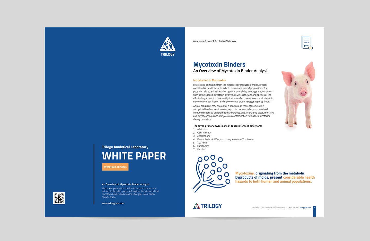 An Overview of Mycotoxin Binder Analysis 