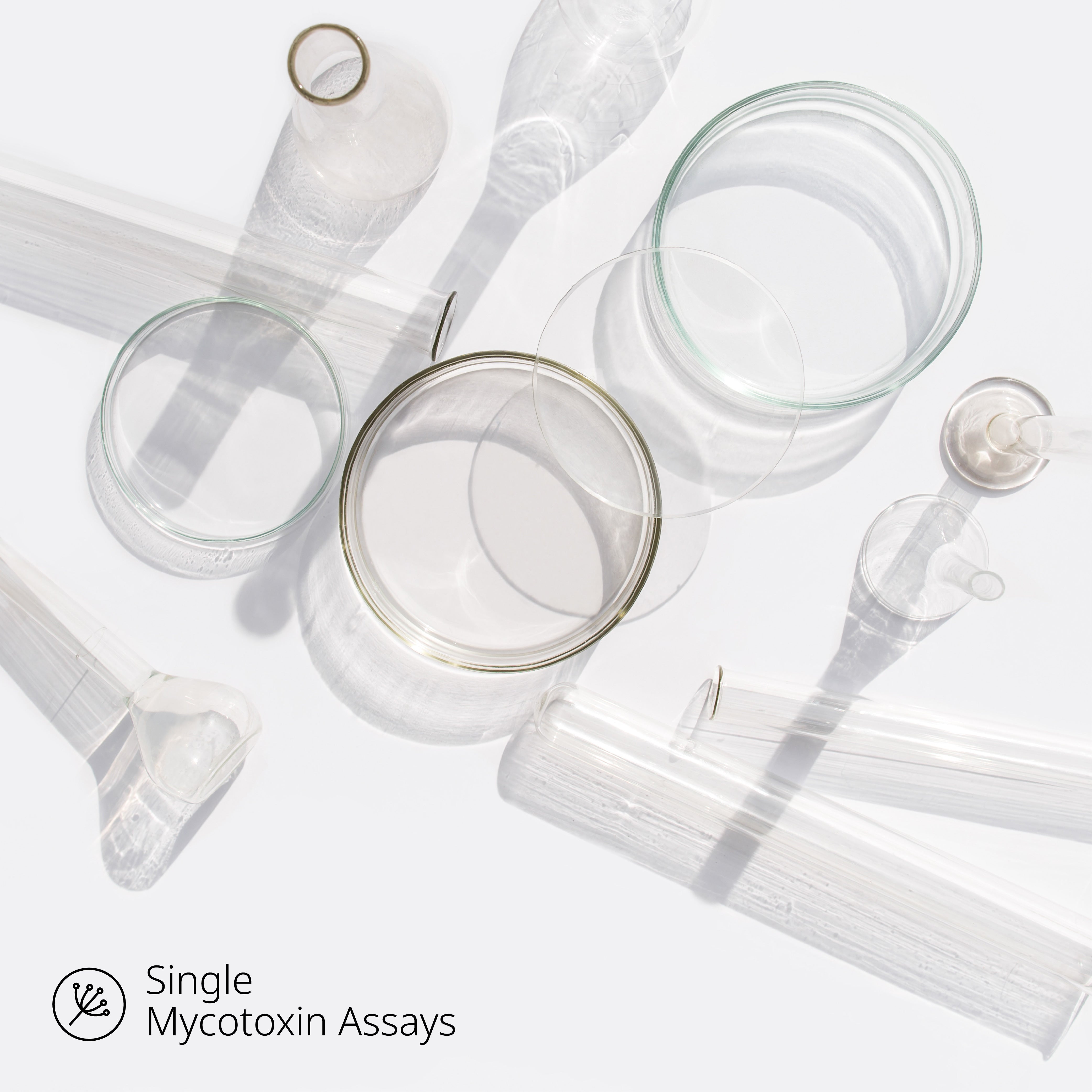 Aflatoxin M1 (Powder) Analysis