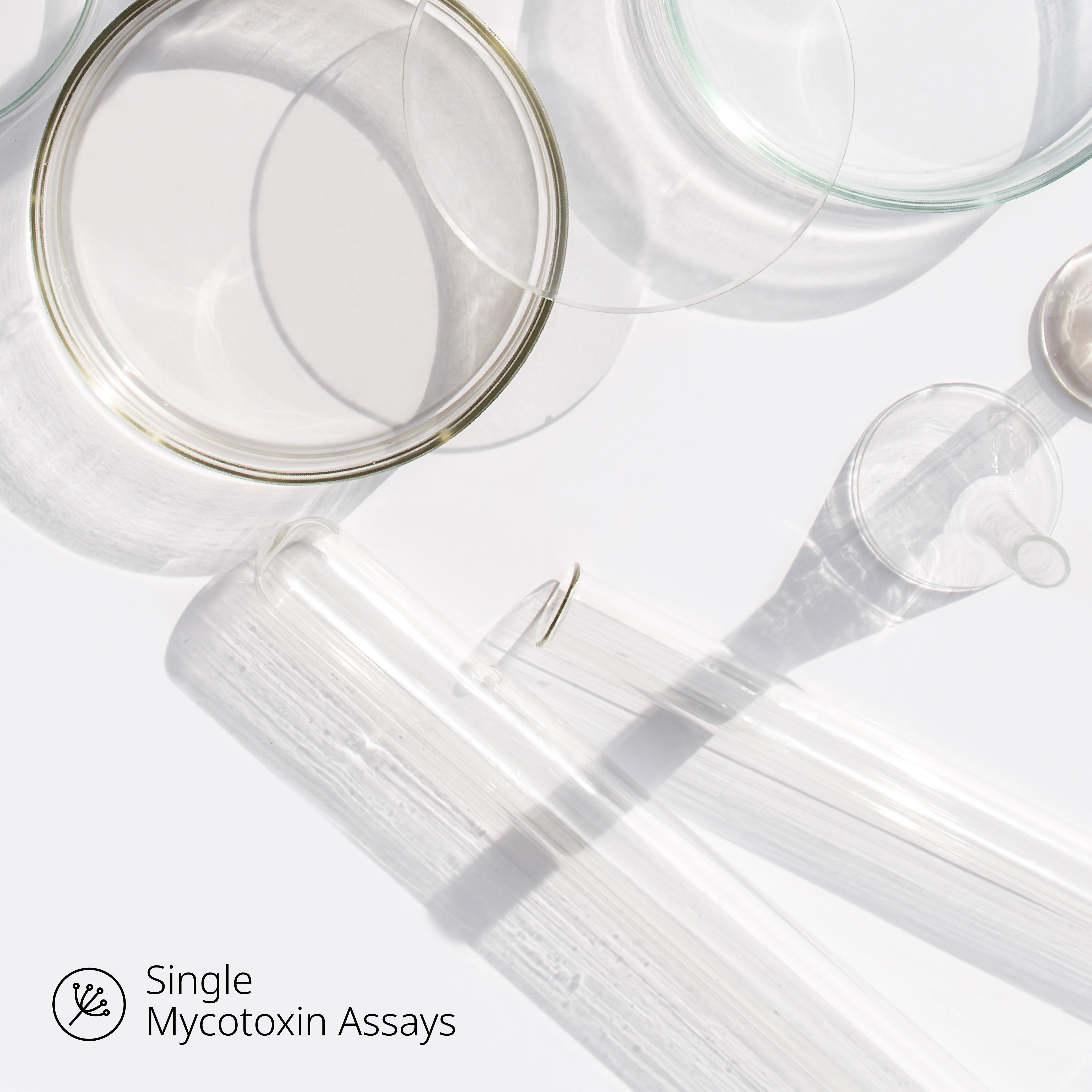 Aflatoxin M1 (Liquid) Analysis