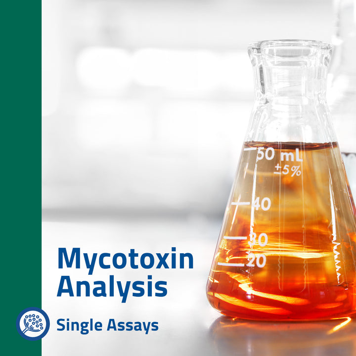 Aflatoxin B1/B2/G1/G2 Analysis (Total Aflatoxin)