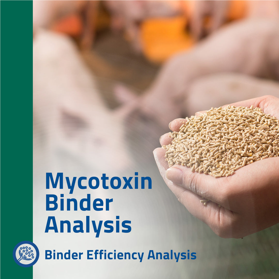 Mycotoxin Binder Analysis